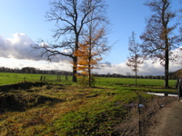 PB110180.JPG