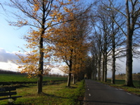 PB110185.JPG