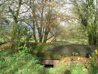 PB110092.JPG