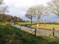 PB110097.JPG