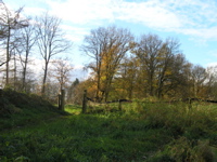 PB110099.JPG