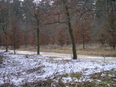 P3120139.JPG