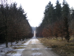 P3120141.JPG