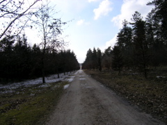P3120142.JPG