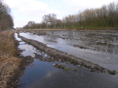P3120143.JPG