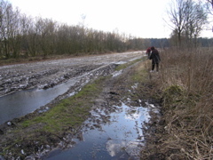P3120144.JPG