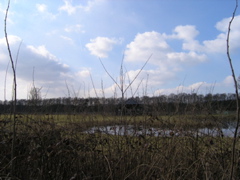 P3120145.JPG