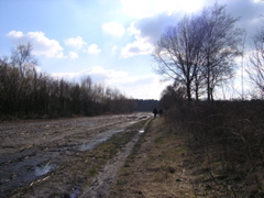 P3120146.JPG