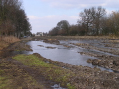 P3120147.JPG