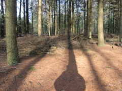 P3120151.JPG