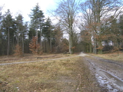 P3120134.JPG