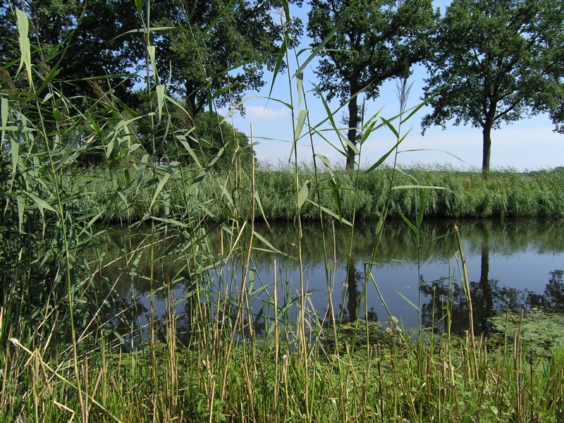 P8120173.JPG