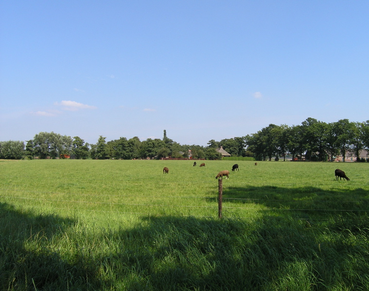 P8120198.JPG