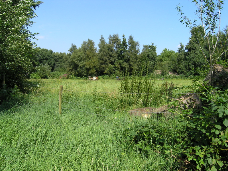 P8120201.JPG