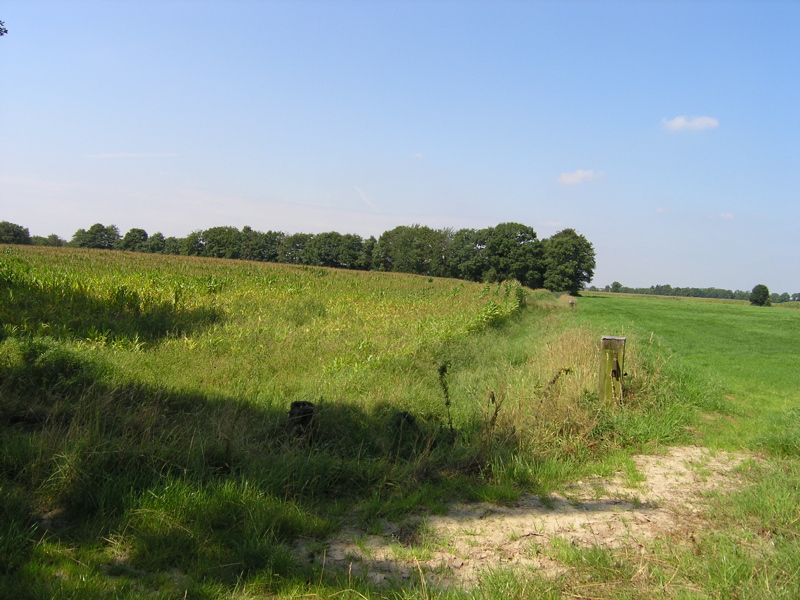 P8120185.JPG