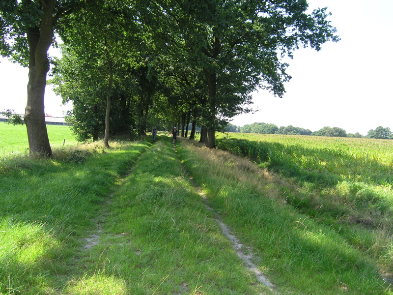 P8120186.JPG