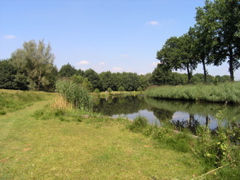 P8120172.JPG