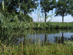 P8120173.JPG