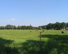 P8120198.JPG