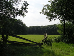 P8120206.JPG