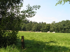 P8120207.JPG