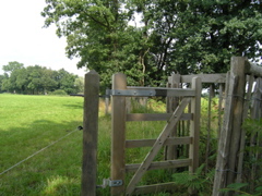 P8120215.JPG