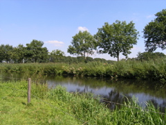 P8120176.JPG