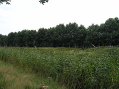 P8120221.JPG