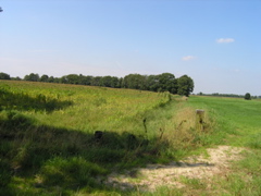 P8120185.JPG