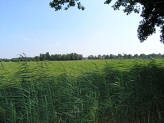P8120190.JPG