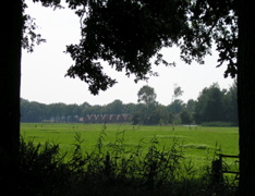 P8120191.JPG