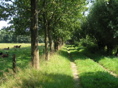 P8120194.JPG