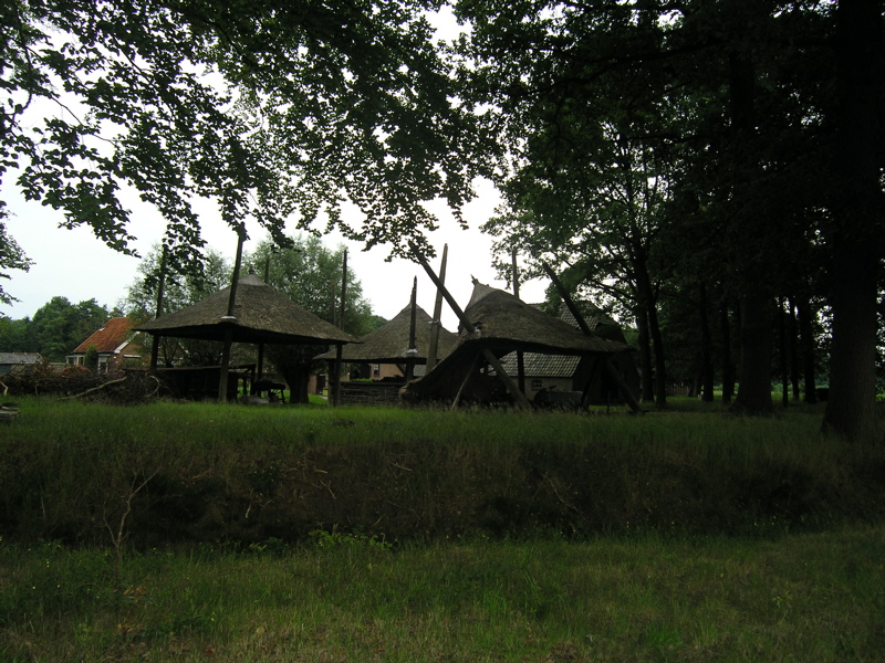 P7150110.JPG