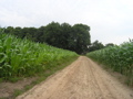 P7150114.JPG