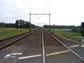 P7150132.JPG