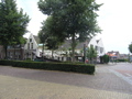 P7150157.JPG