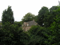 P7150097.JPG