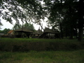P7150110.JPG