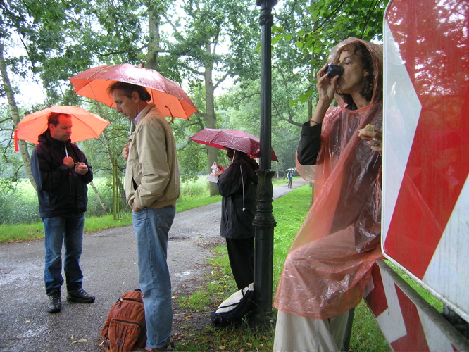 regen
