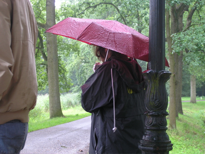 regen