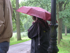 regen