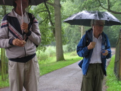 regen