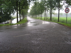 regen