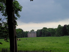 P5210055.JPG