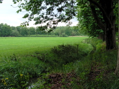 P5210058.JPG