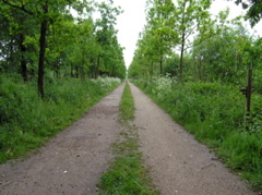 P5210027.JPG