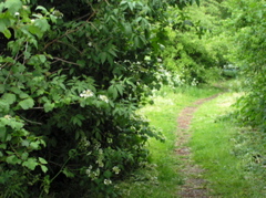 P5210082.JPG