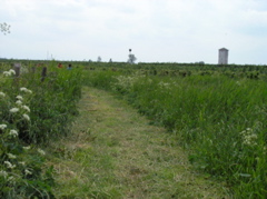 P5210085.JPG