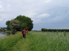 P5210093.JPG