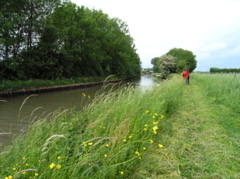 P5210094.JPG